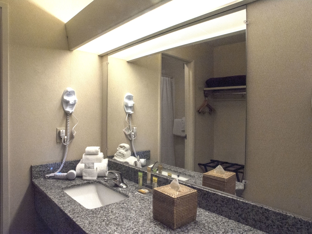 Inn At The Convention Center 44/45