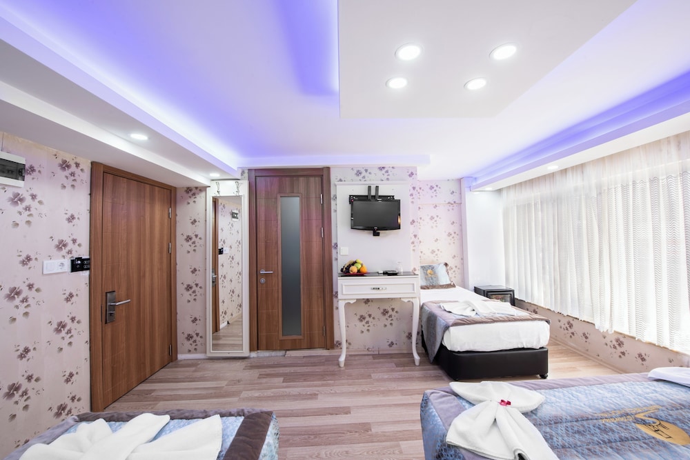 Istanbul Best Sirkeci Hotel and Spa 14/50