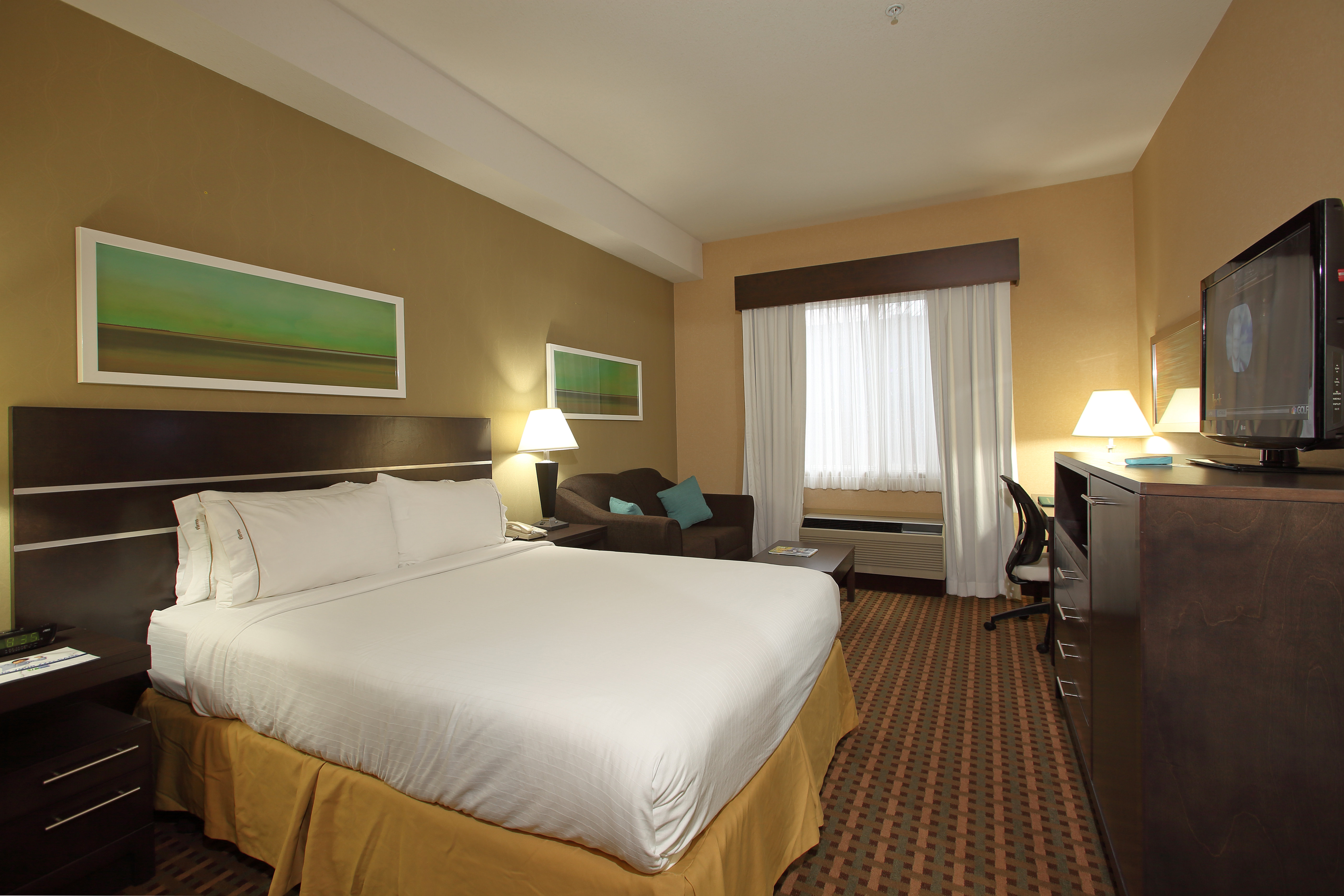 Holiday Inn Express Vernon 22/61