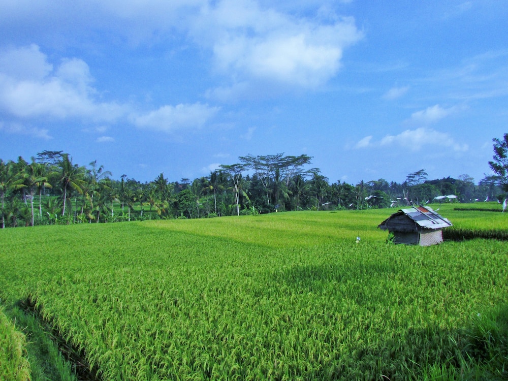 Temuku Villas Ubud 45/50
