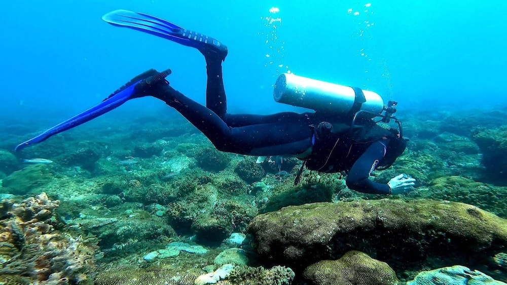 Aquamaster Dive Pousada 21/50