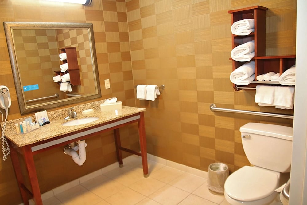 Hampton Inn Detroit North Auburn Hills 40/45