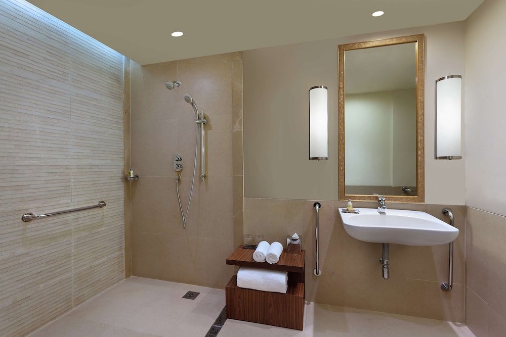 DoubleTree by Hilton Agra 24/73