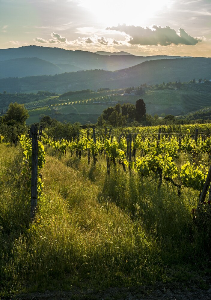 Agriturismo Fattoria Lavacchio 46/50
