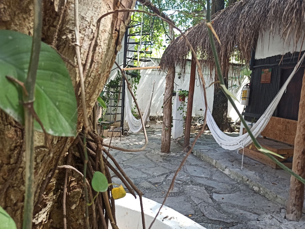 Nativos Tulum Hotel Boutique 31/35