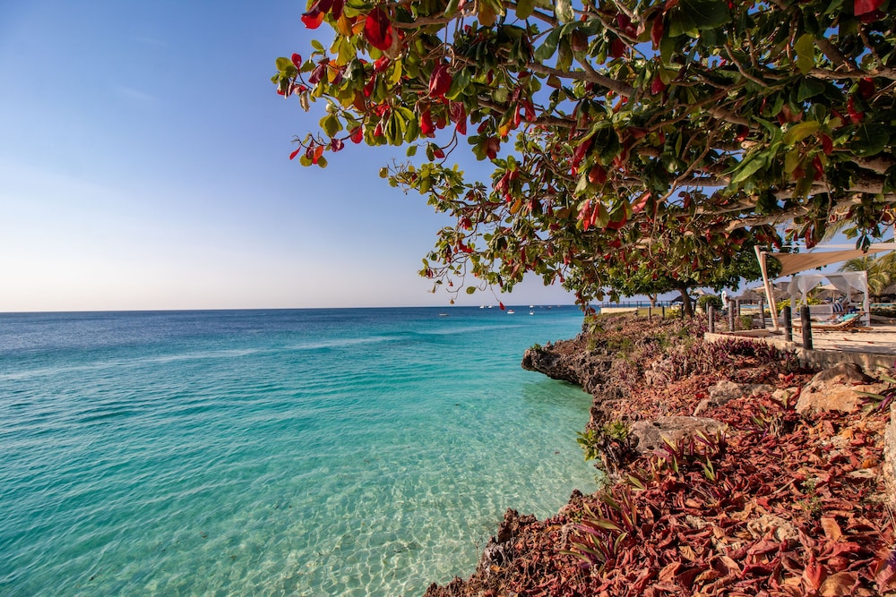 Royal Zanzibar Beach Resort 33/50