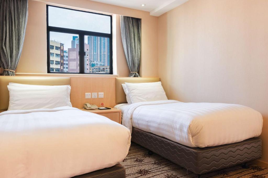 Standard Twin Room