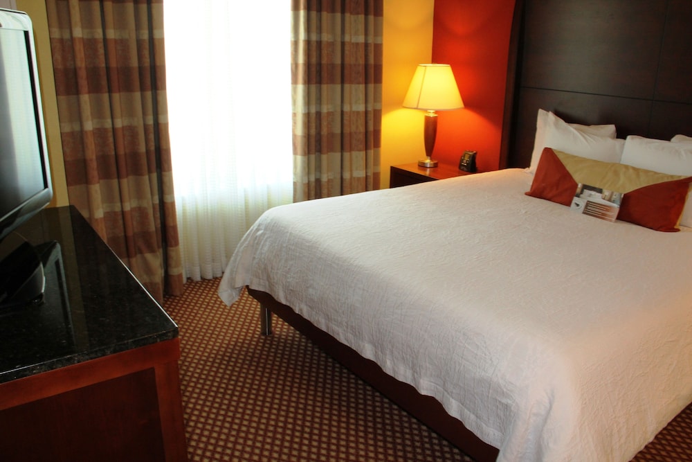 Evolution, Suite, King Bed