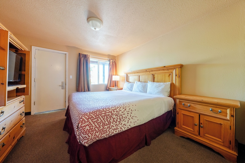 Classic, Single, 2 King Beds