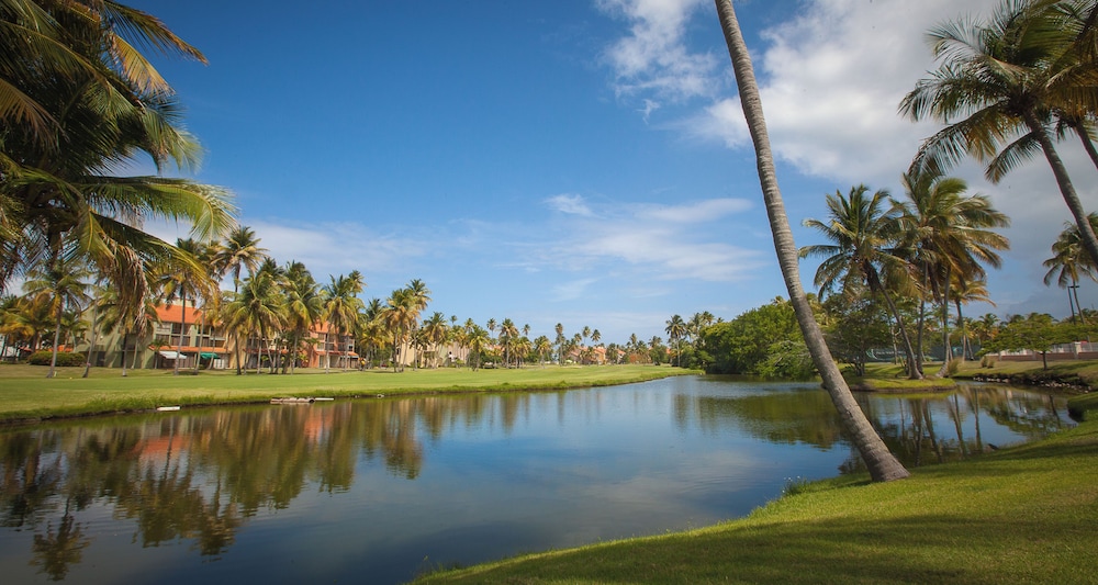 Park Royal Club Cala managed by Accor 39/50