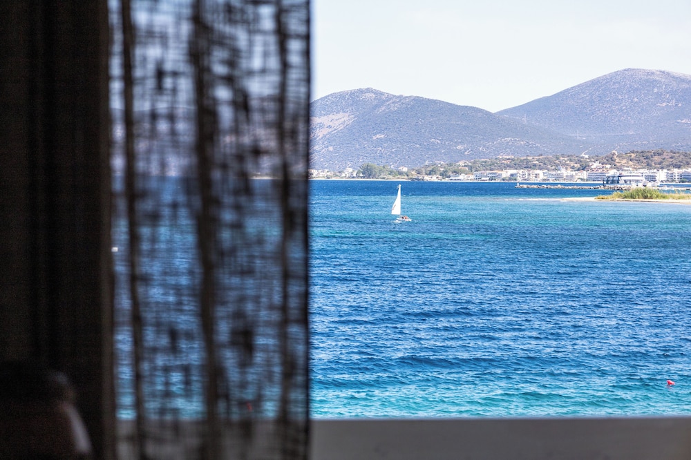 Venus Beach Hotel 48/64