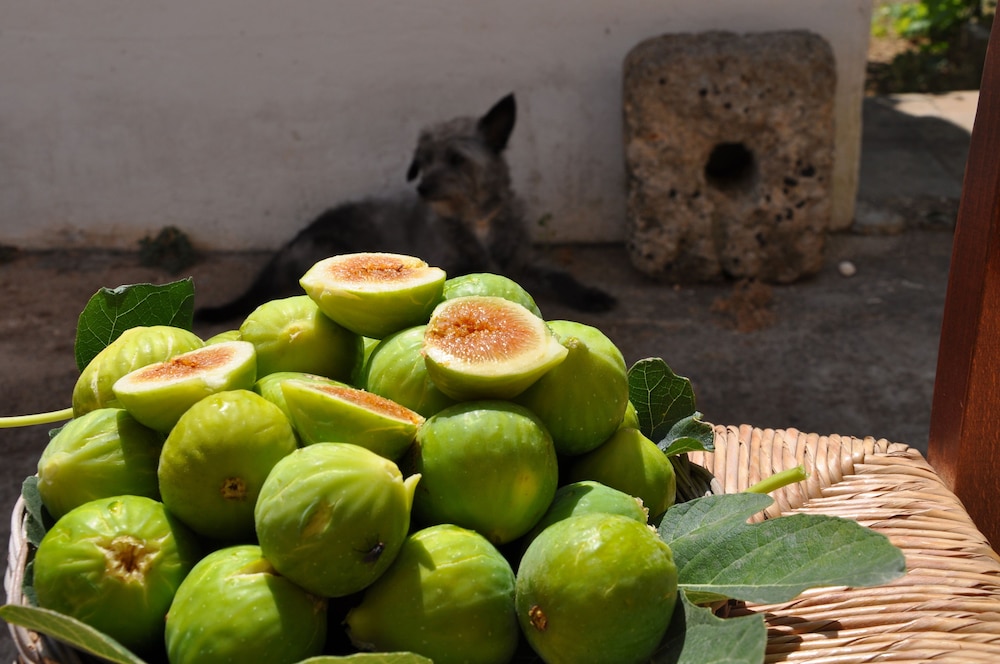 Masseria Uccio 12/41