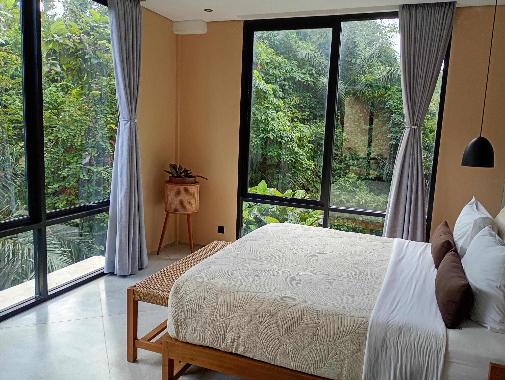Suite, Jungle View