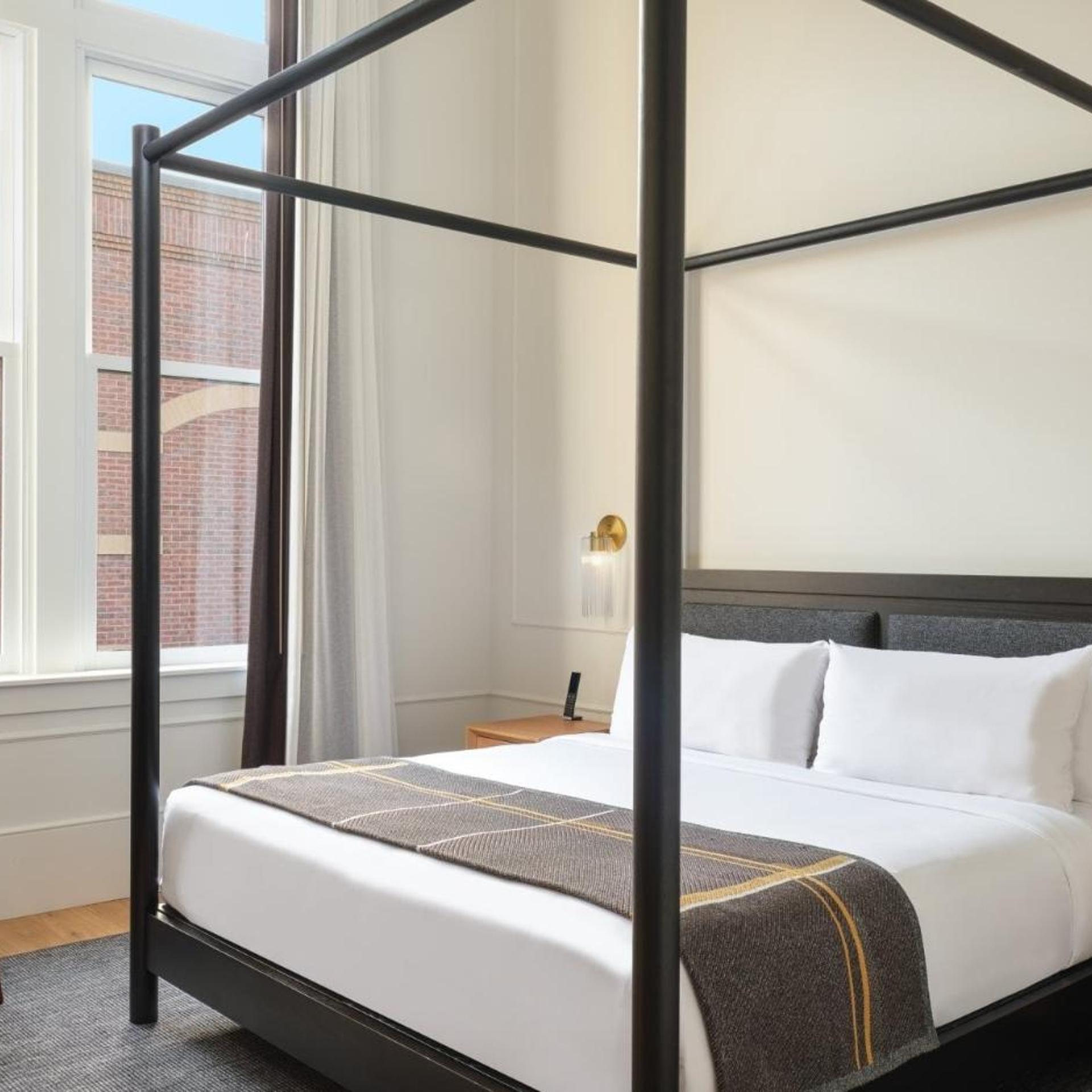 Cozy, King Bed