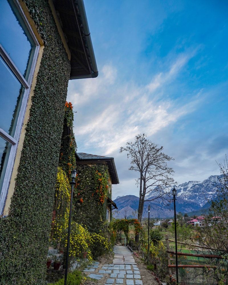 Seclude Palampur - Himachal Pradesh 47/50