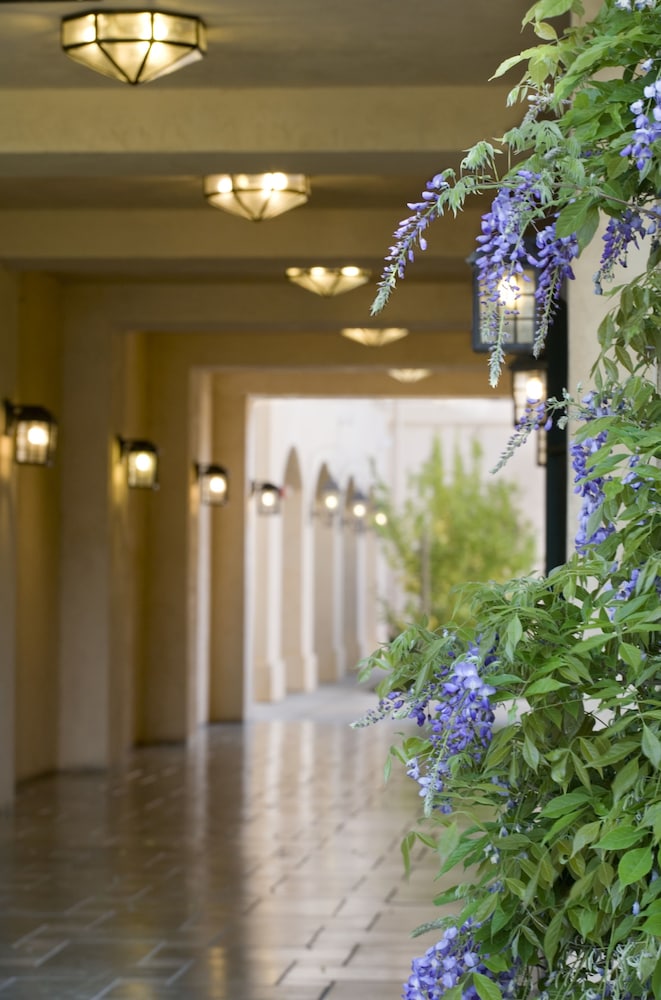 Hyatt Regency Sonoma Wine Country 31/65