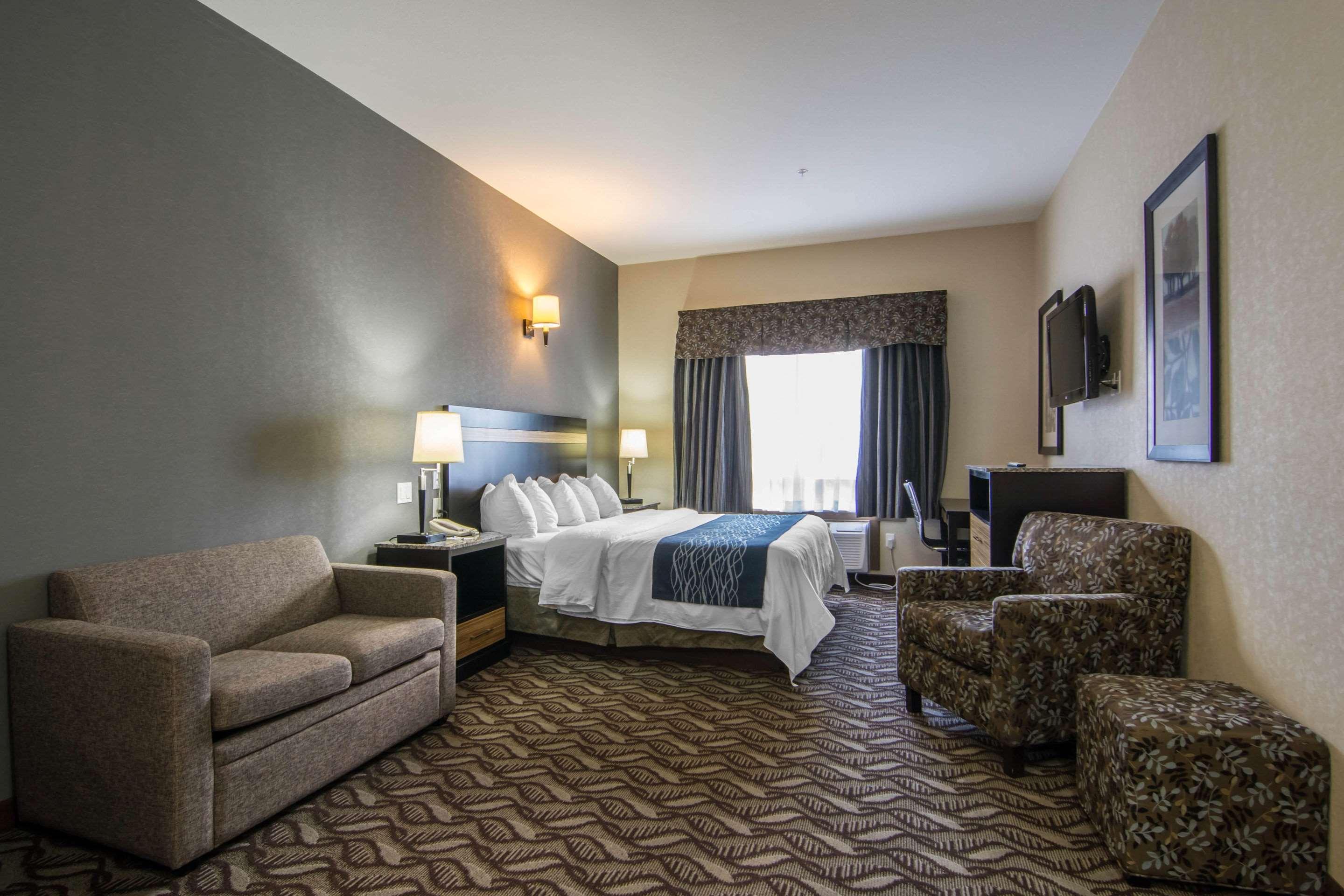 Efficiency, Suite, King Bed