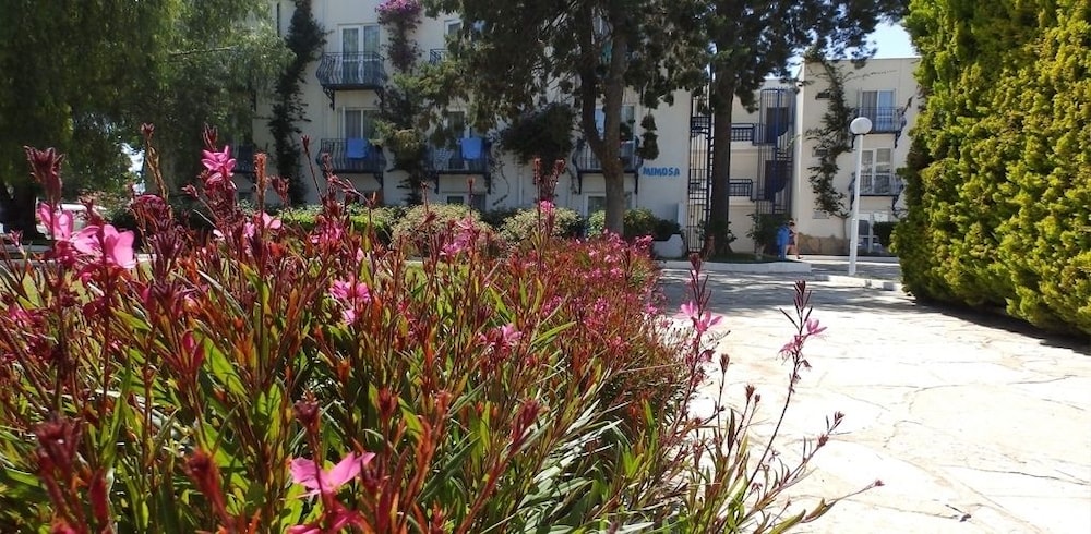 Ladonia Hotels Luna Beach Resort photo2