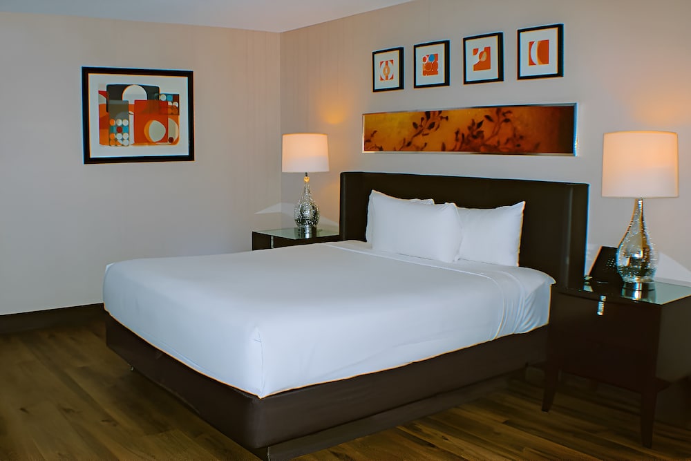 Circus Circus Hotel Casino & Theme Park 17/48
