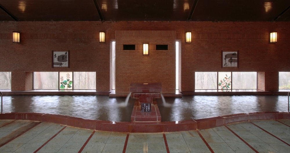 swimming pool spa