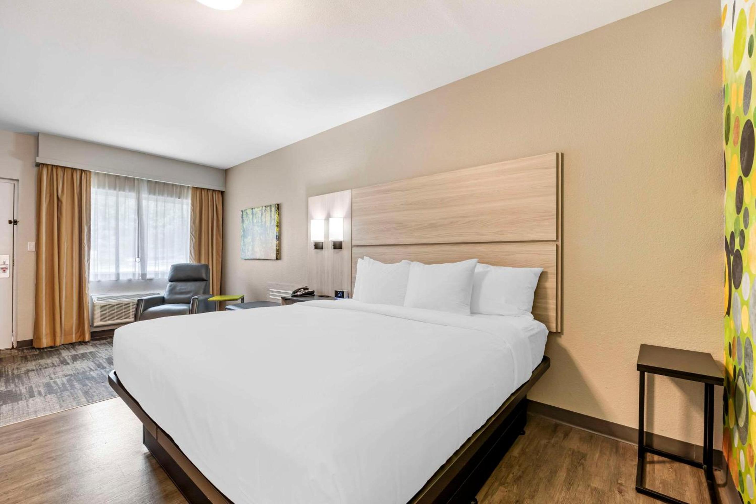 Efficiency, King Bed, Accessible