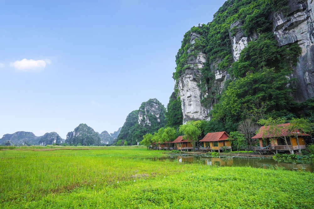 Lotus Field Homestay 36/50