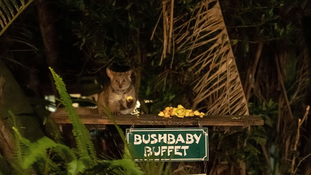 Bushlands Game Lodge 43/45