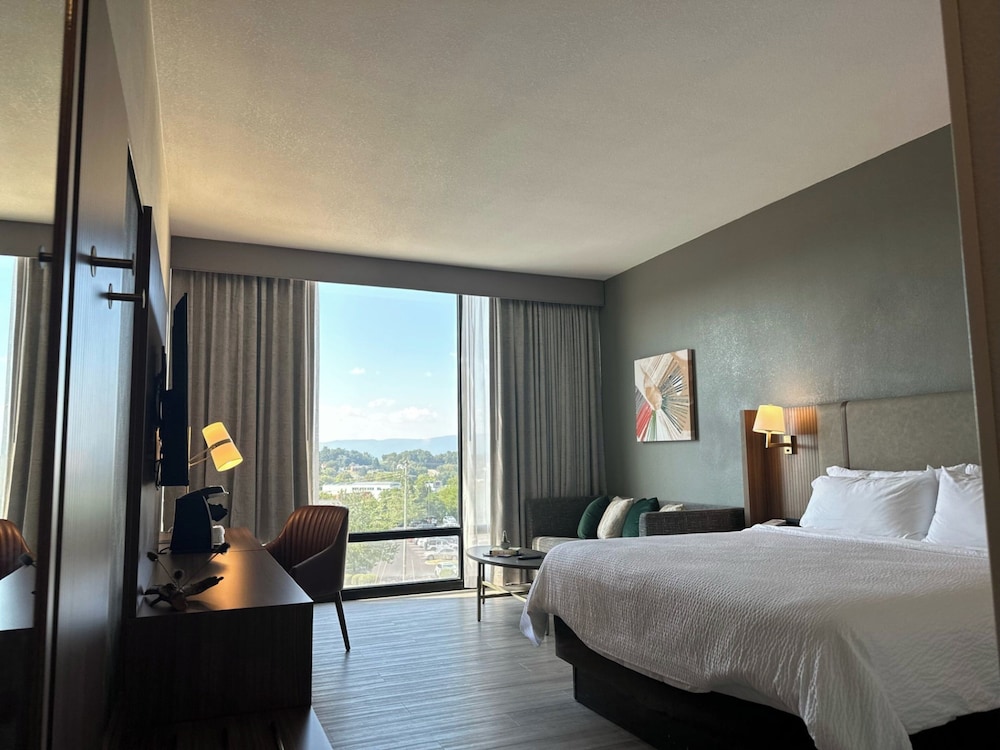 Holiday Inn Roanoke Tanglewood Rt 419 I581 21/62