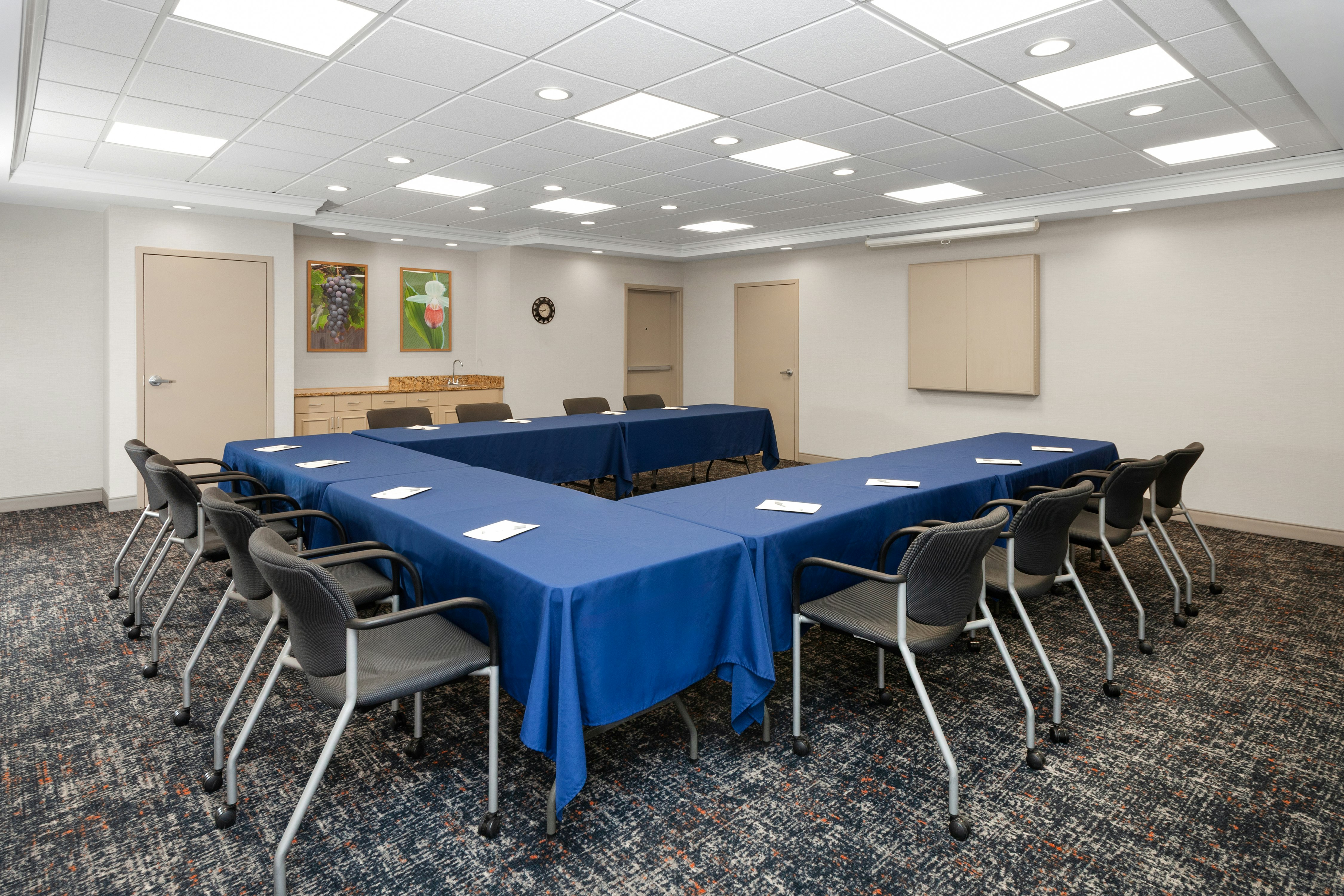 Hampton Inn & Suites Alexandria MN 40/50