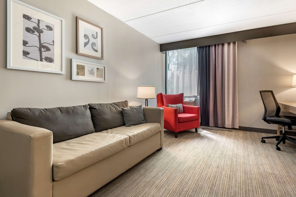 Comfort Inn & Suites Liverpool - Syracuse North 21/41