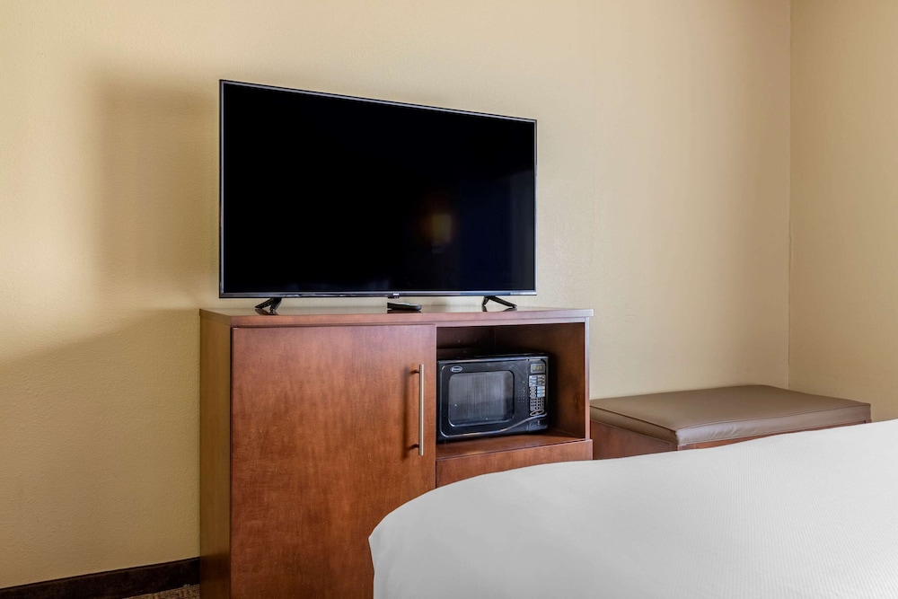 Comfort Inn Suites Statesboro 14/34