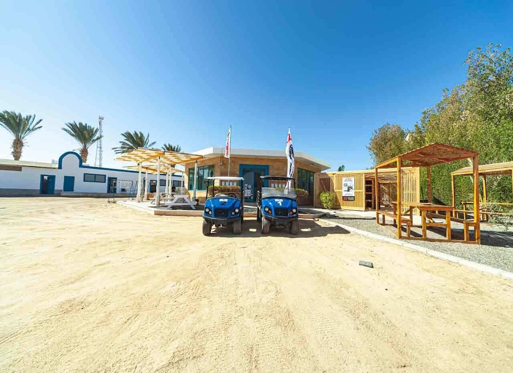 Shoni Bay 39/50
