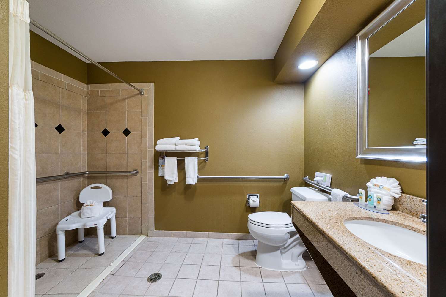 Quality Inn & Suites Buda, TX 19/21