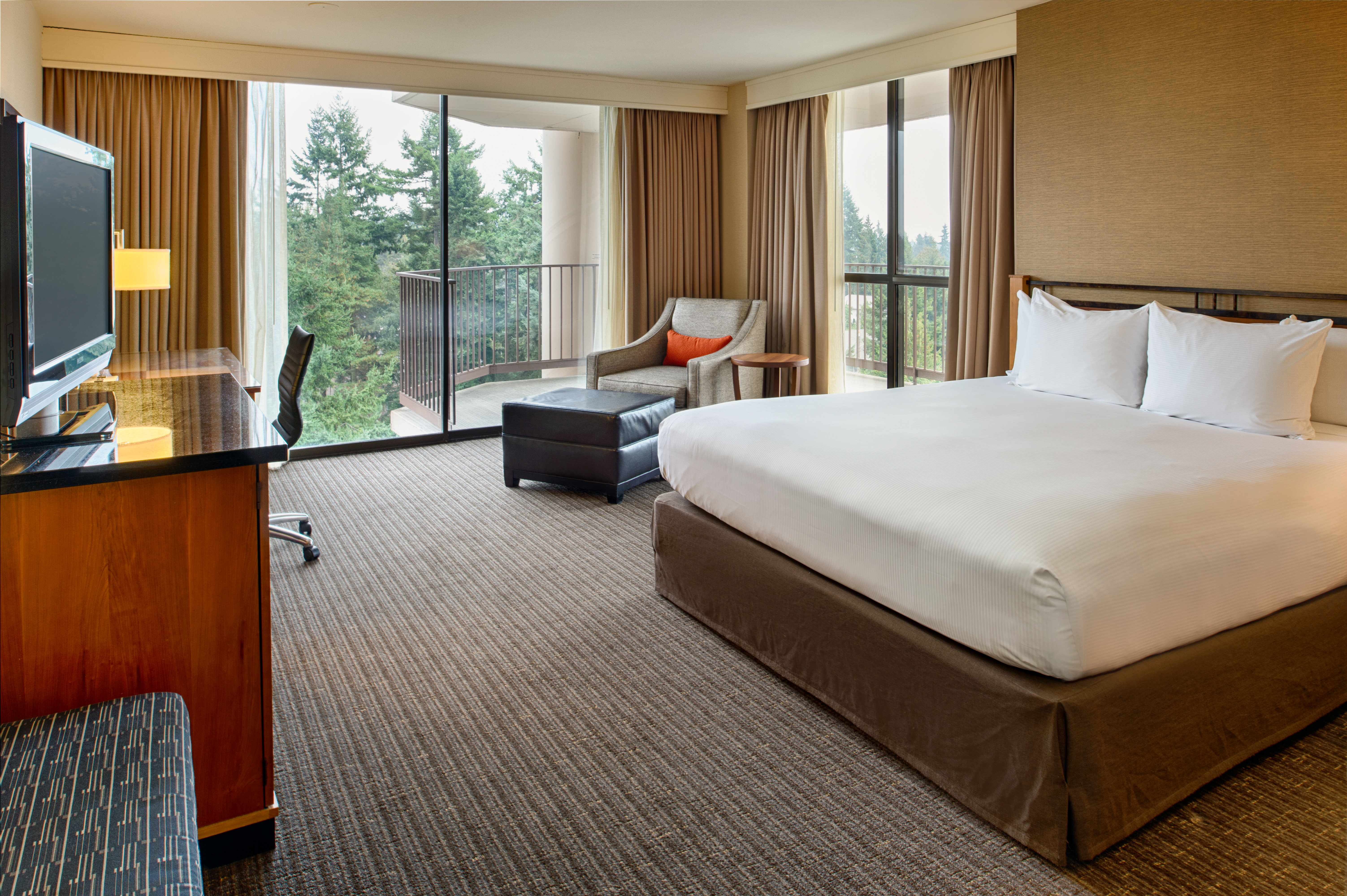 DELUXE, KING BED, ACCESSIBLE