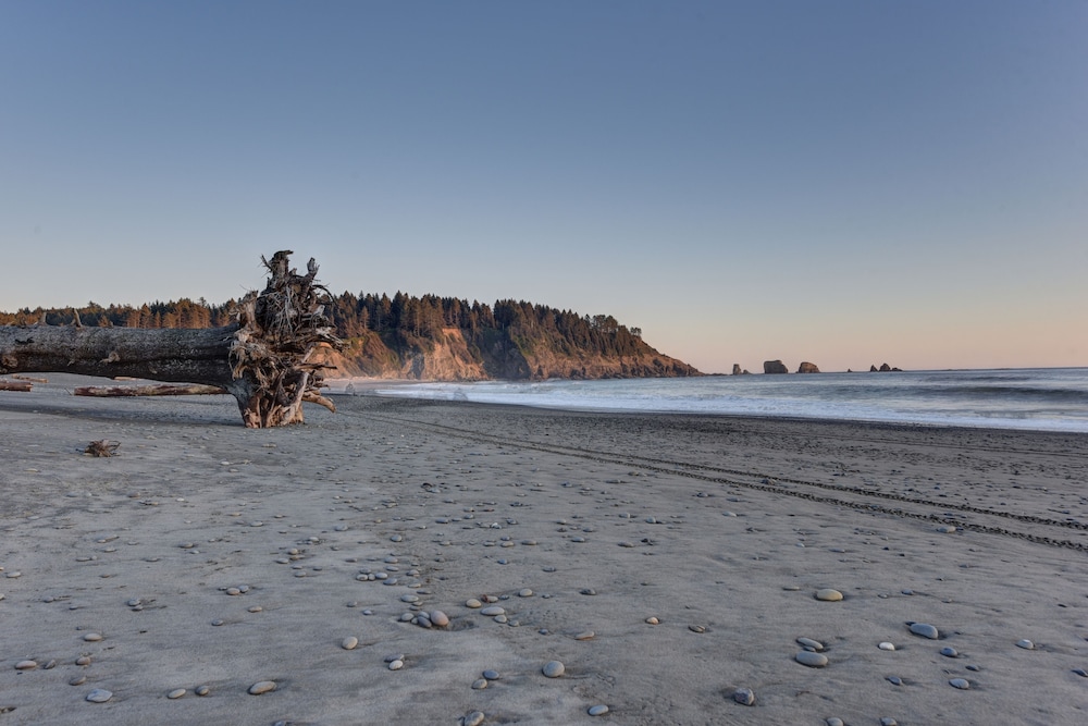 Quileute Oceanside Resort 43/50