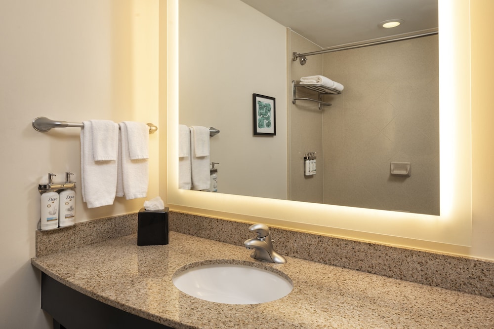 Holiday Inn Hotel Suites Maple Grove Nw Mpls Arbor Lks 76/76