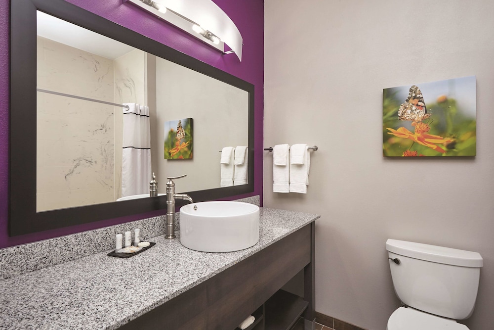 La Quinta Inn And Suites By Wyndham Springfield IL 21/63