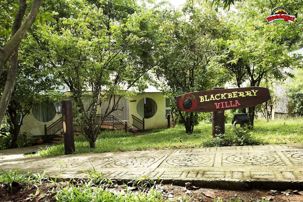 Madagui Forest Resort 35/50