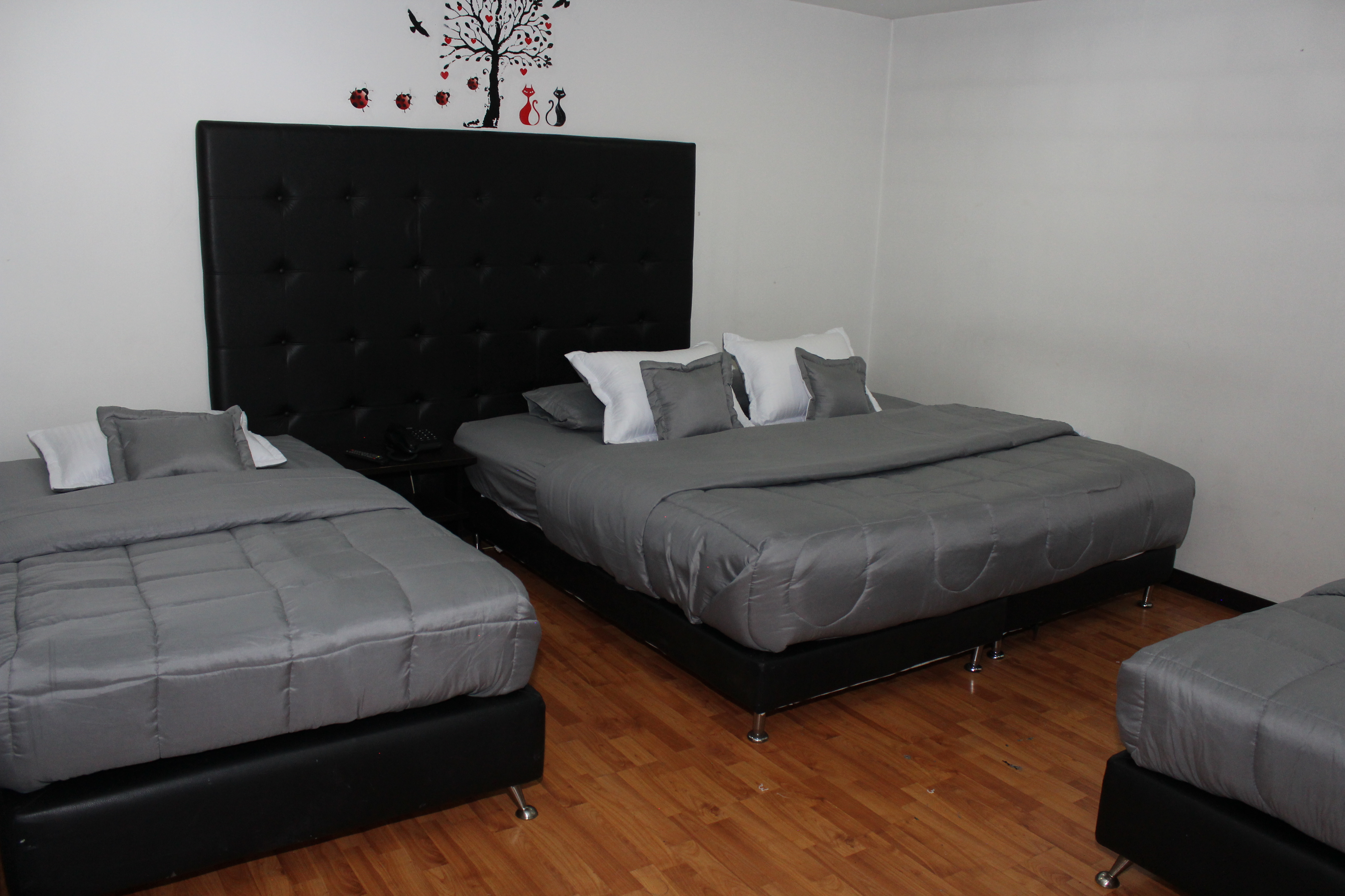 rooms