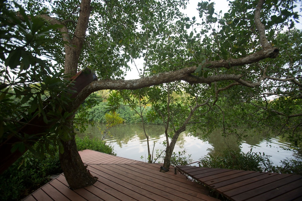 Tamarind Hill 61/66