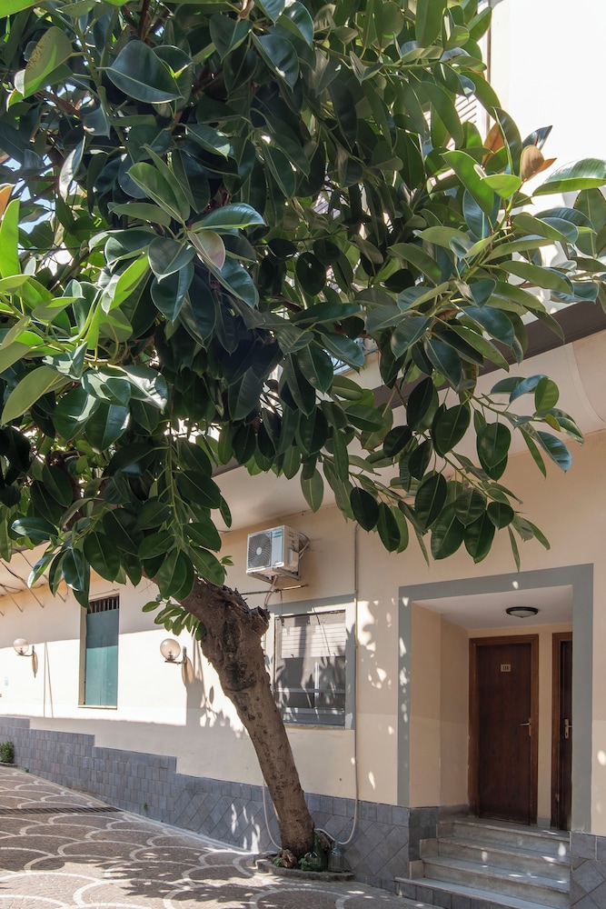 Hotel Fiorentina 42/50