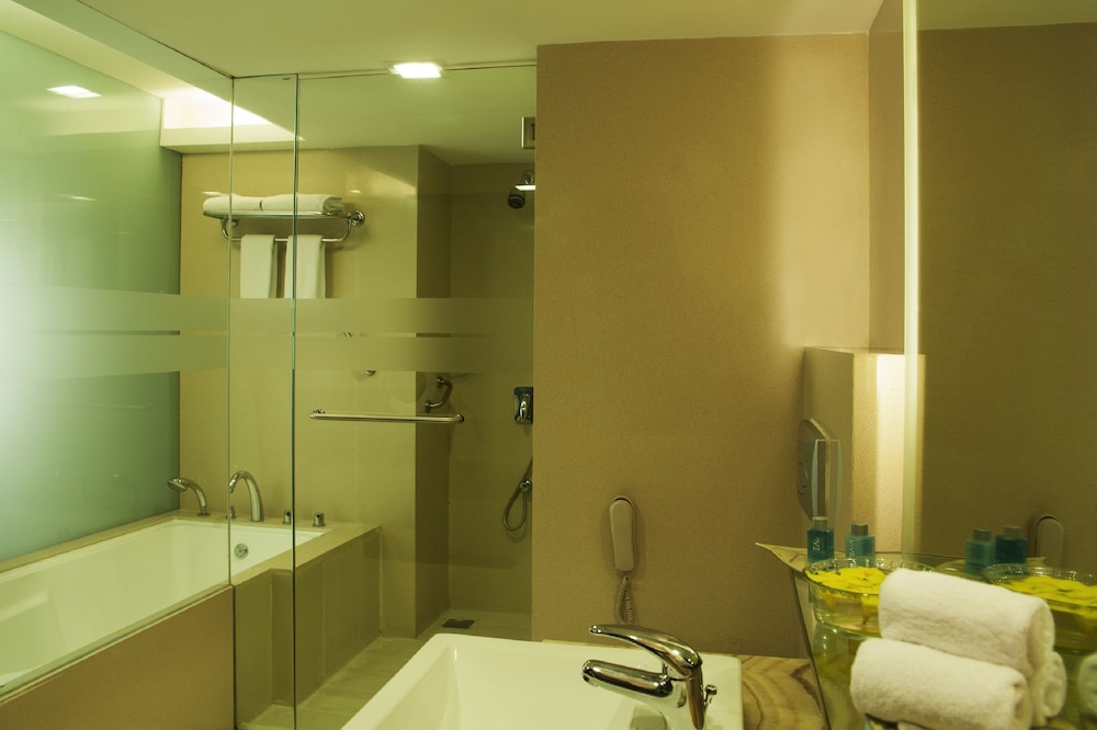 Radisson Blu Hotel Pune Kharadi 16/77