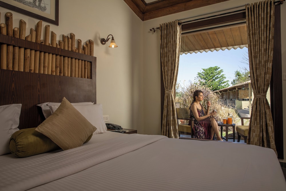 Asiatic Lion Lodge 13/50