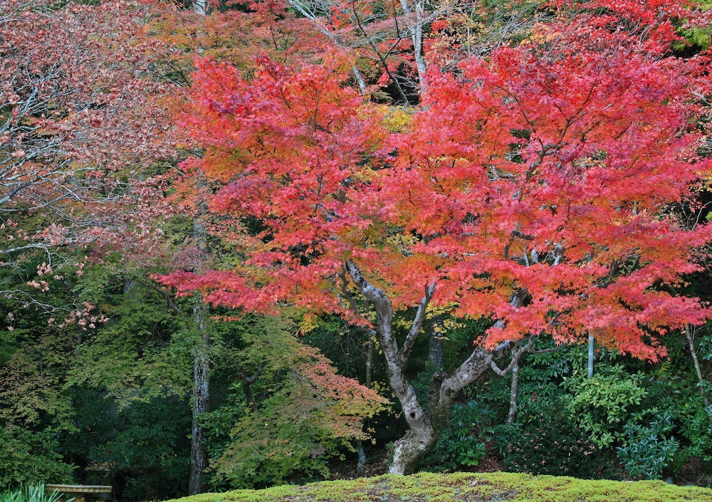総持院 写真2