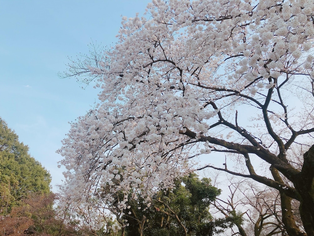 surroundings