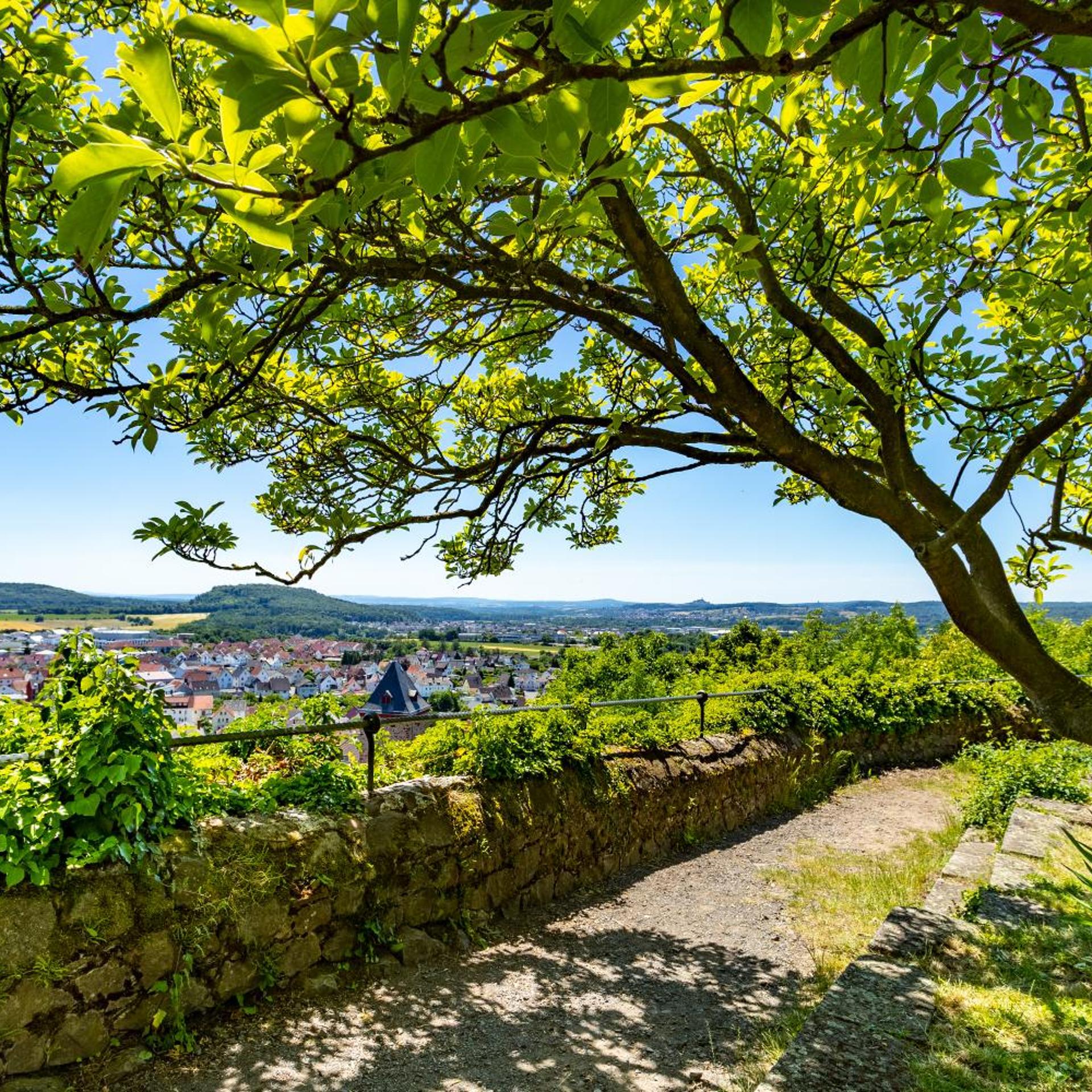Burg Staufenberg 41/50