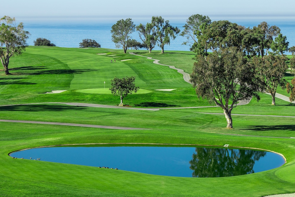Lodge At Torrey Pines 30/80