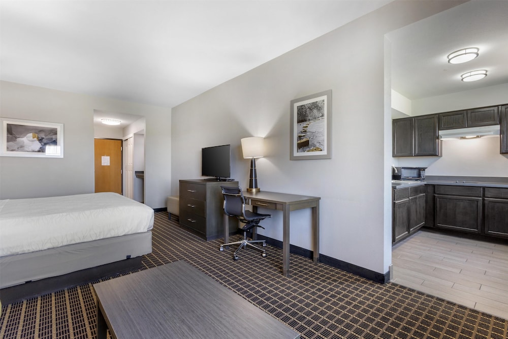 Standard, King Bed, Kitchenette, Accessible