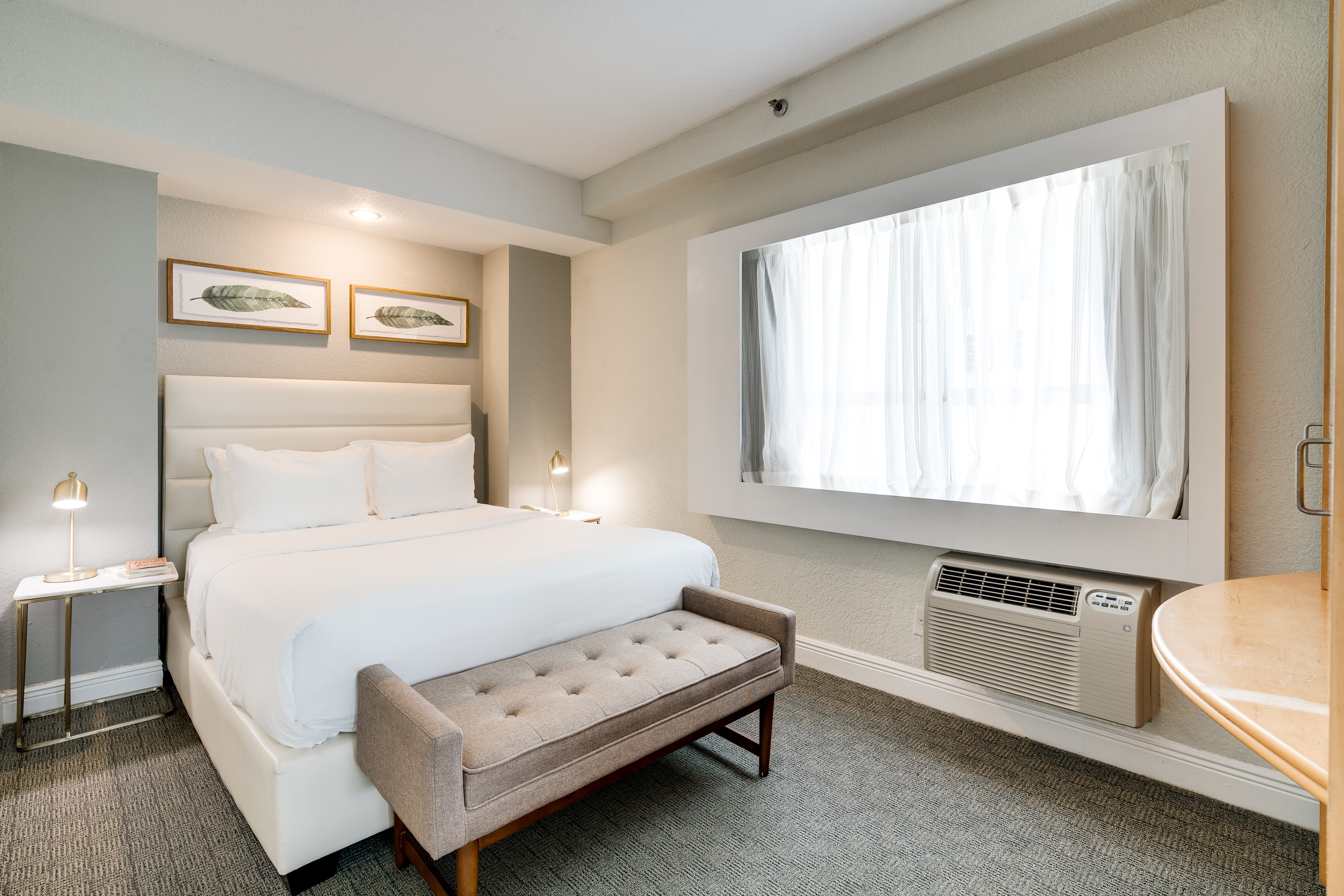 1 Bedroom, Suite