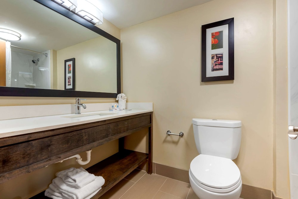 Comfort Inn Binghamton 20/35